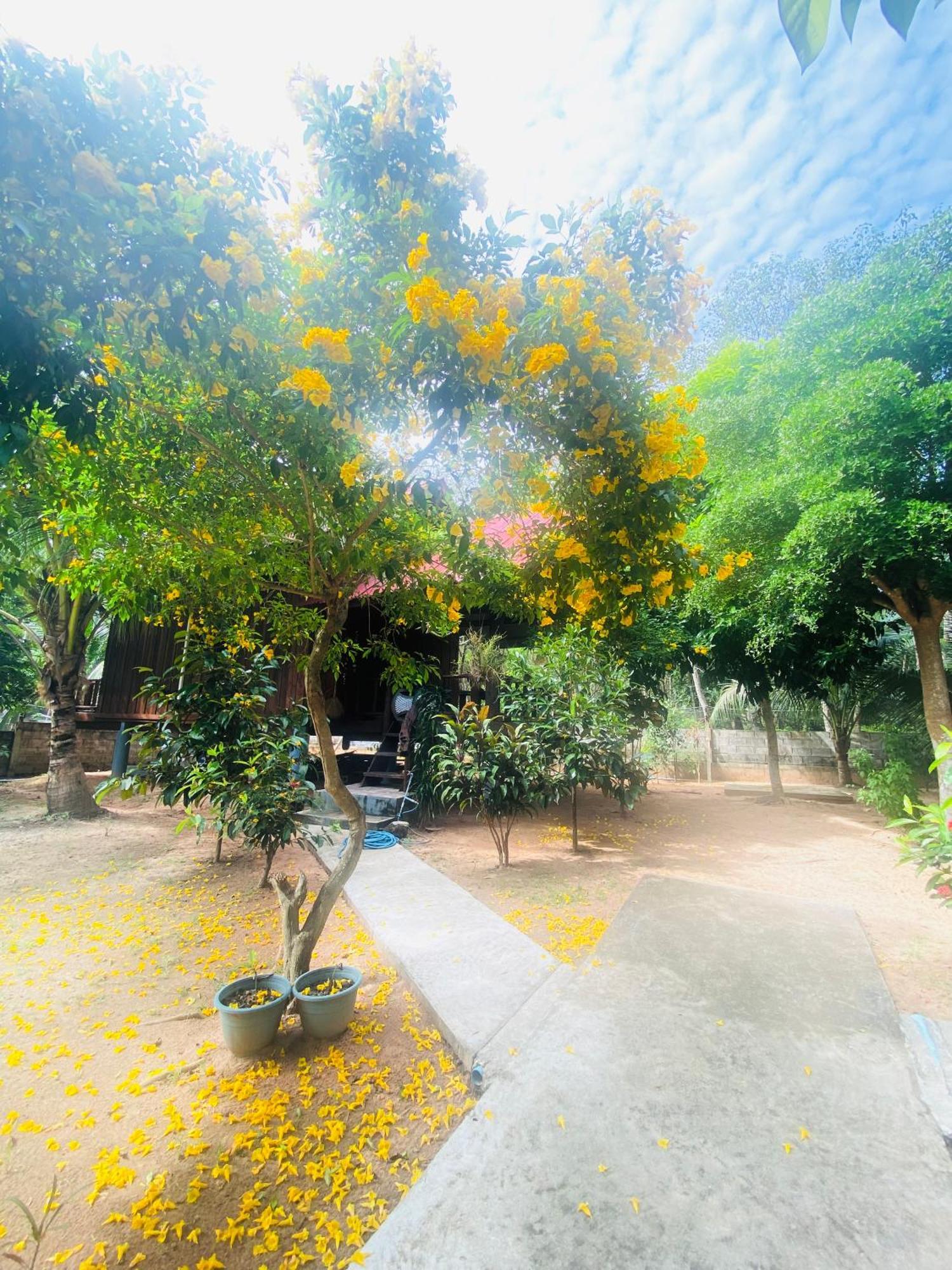 Nadia Resort Kohjum Koh Jum Exteriör bild