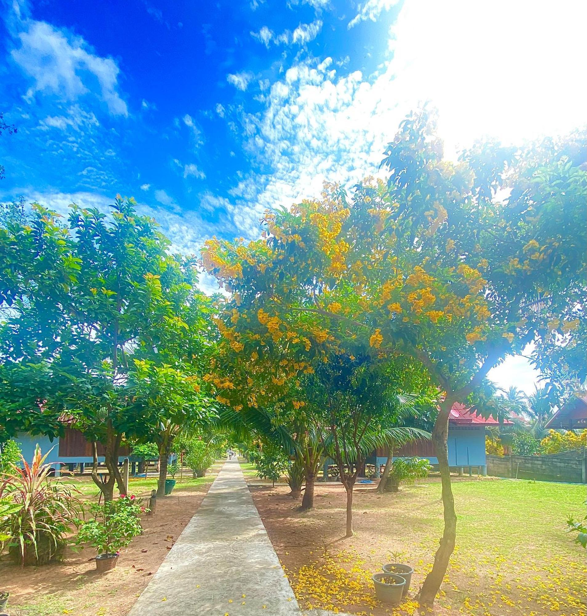 Nadia Resort Kohjum Koh Jum Exteriör bild