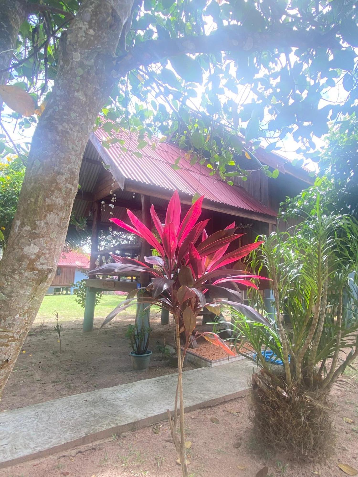 Nadia Resort Kohjum Koh Jum Exteriör bild